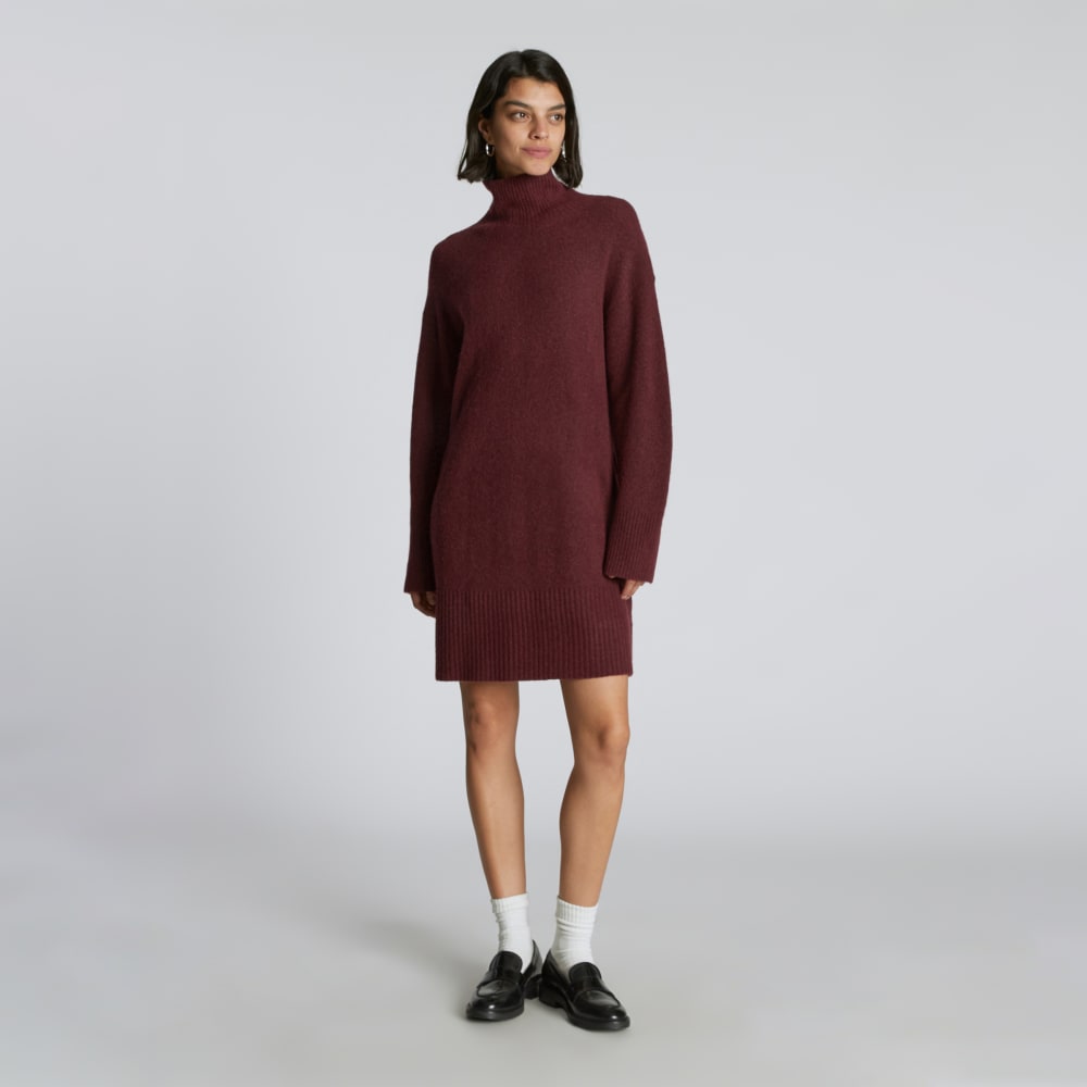 The Cozy Stretch Turtleneck Dress | Brandy - Image 6