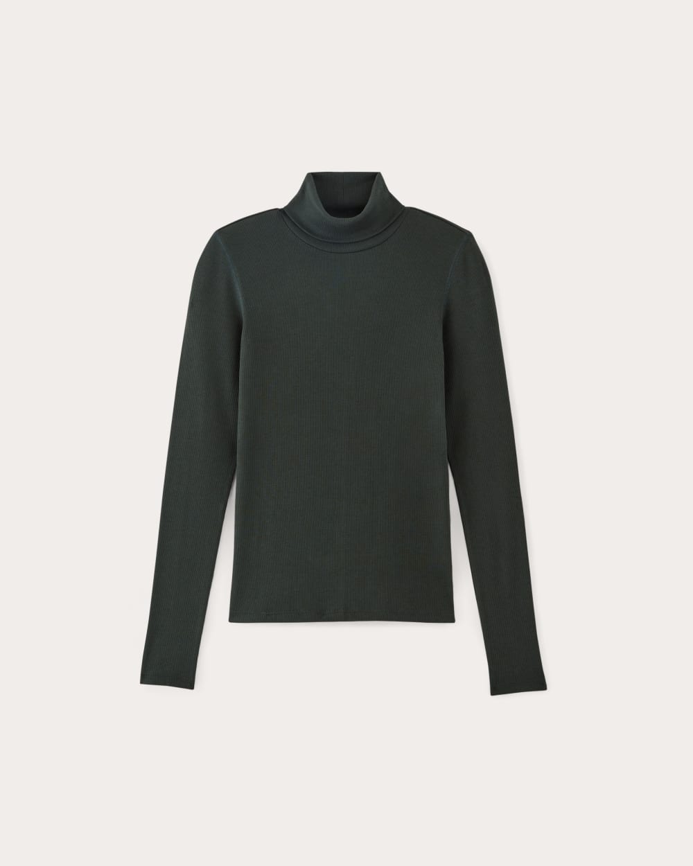 The Luxe Rib Turtleneck | Scarab - Image 2