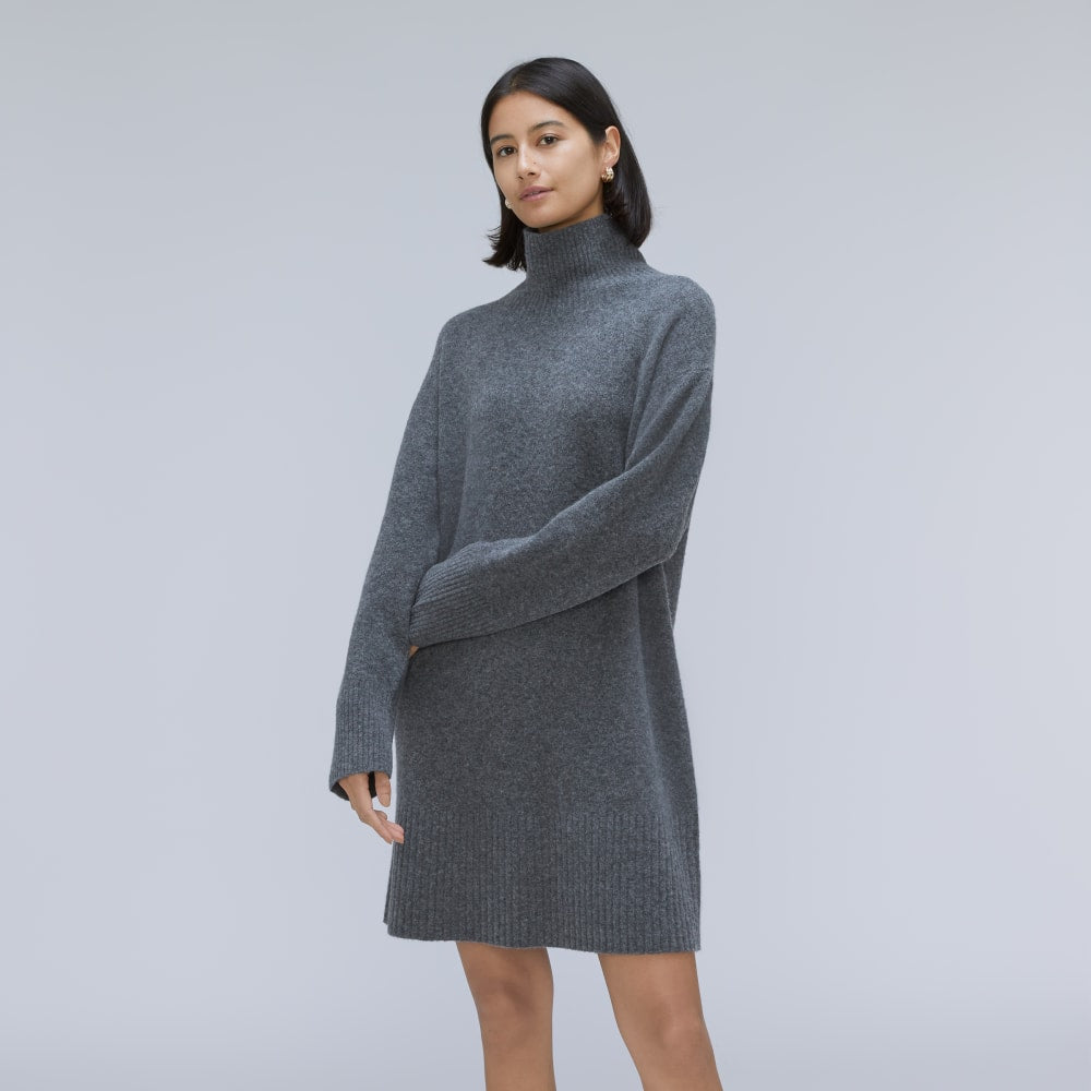 The Cozy Stretch Turtleneck Dress | Marin